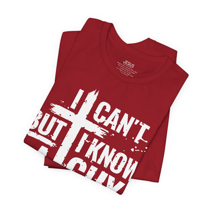 I Can't But I Know a Guy T-Shirt